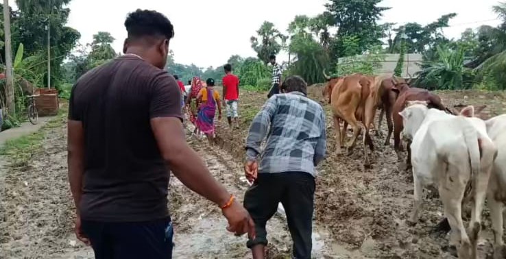 রাস্তার অভাবে গ্রামে অ্যাম্বুলেন্স না ঢুকতে পারায় শিশু মৃত্যুর জেরে উত্তেজনা, একখণ্ড বিচ্ছিন্ন দ্বীপের অধিবাসীদের কথা